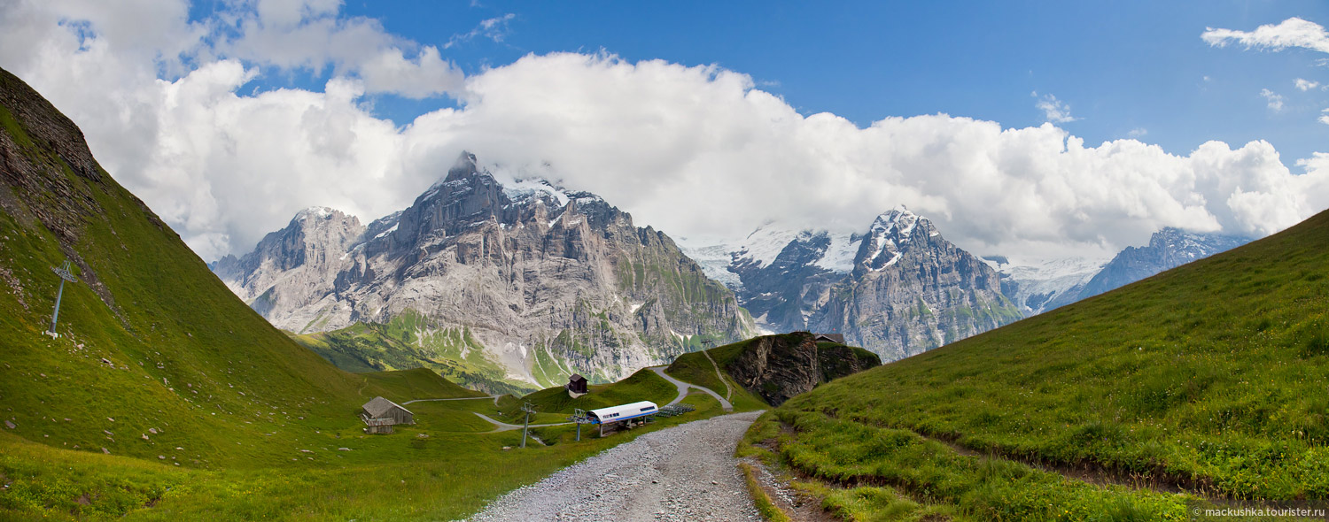 First, Grindelwald